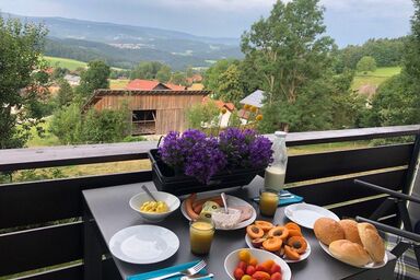 Apartment Tälerblick 2 - mit großem Balkon und toller Aussicht