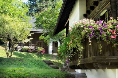 FerienWohnung mit Hallenbad und Sauna