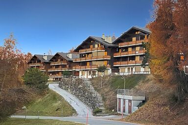 Les Mayens de l'Ours - 4 Vallées