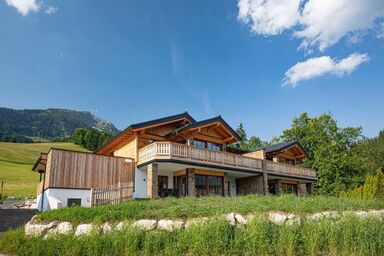 Dachstein Chalet Haus b