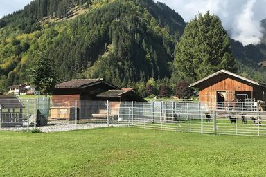 Ferienwohnung Pony-Ziegen-Hasen-Ranch in Bichlbach