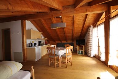 Ferienwohnungen Dananic - Ferienwohnung Nr. 3, 45m², Wohn-/Schlafraum, Balkon, TV, 3 Pers.