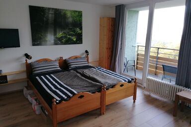 Ferienwohnung Fernblick im Ferienpark Geyersberg - Ferienwohnung N 170 (38qm) mit Balkon