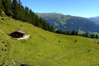 Breierhof Zell im Zillertal Tirol - Allmhütte zillertal