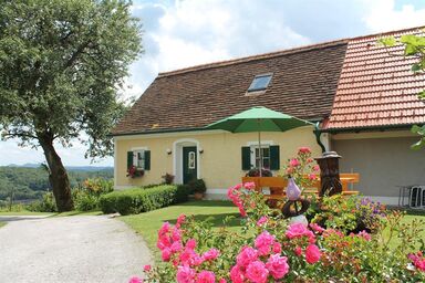 Obst- & Gästehof Brandl - Ferienhaus "Winzerstöckl"