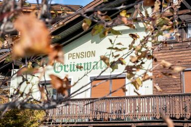 Pension Grünwald - Doppelzimmer