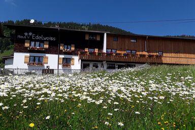 Haus Edelweiss - Ferienwohnung 4 "Hühnerstall"