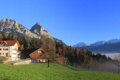 2-Zimmerwohnung RIGI