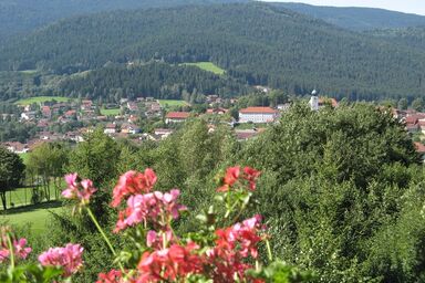 Appartementhaus im Himmelreich - App. Arber/Balkon, 3 Stock