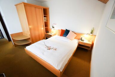 Centra Hotel Zürich - Double room
