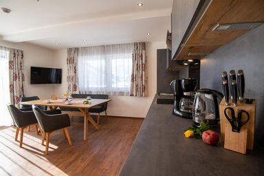 Eiblhof - Appartement Planai ( Hannal)