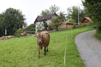 Panorama Blick