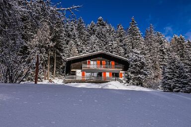 Chalet Les Girolles - Anzère