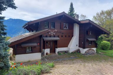 Chalet Rossignol, (Leysin).