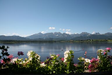 Ferienwohnung am Hopfensee - 3-Zimmer-Wohnung Landhaus, 75 qm, 2 Schlafzimmer, max. 4 Personen