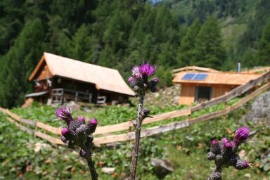 Berghütte Ploatschtratten - Ploatschtrattenhütte