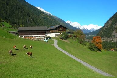 Blasenhof - Schwalbennest