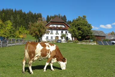 Polzhof - Ferienhaus/1 Schlafraum/Dusche, WC