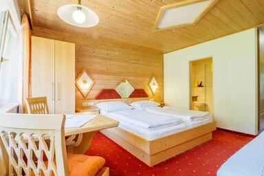 Pension Oberbach - Familie Dagn - Studio Süd mit Du/WC für 1 Person