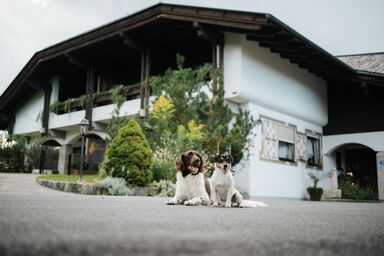 Villa Waidblick - Bergblick barrierefrei - Hunde willkommen-buchbar