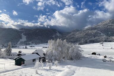 Kärntnerhof, See-Hotel - Doppelzimmer Waldblick