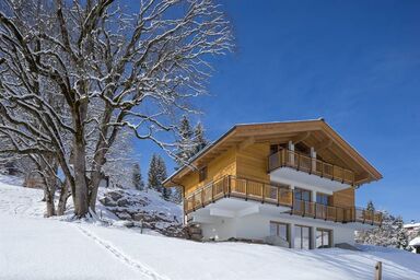 Das Hillside - AlpinLodge - Ferienhaus