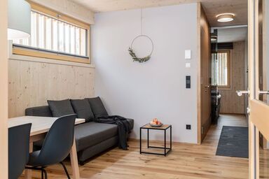 Boutique Apartments Mellau - B5