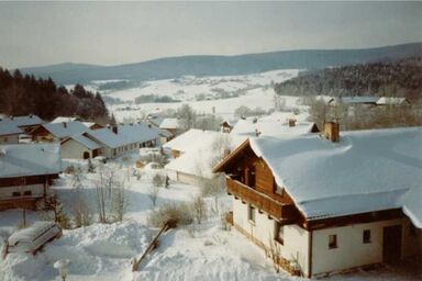 Fewo mit malerischem Bergblick im Bayerischen Wald - Whg. 24, 2.OG, 2 Zi., Bischofsmais