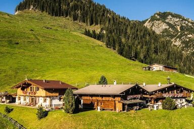 Luxuschalet Bischofer-Bergwelt  in Alpbach