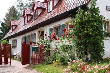 Wunderschönes Ferienhaus in Aue mit Grill und Garten