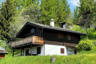 Chalet Glücksfall