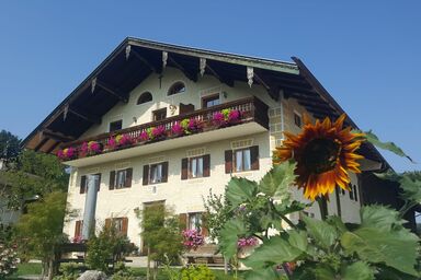 Weissnhof - Ferienwohnung Da Dachstui 60 qm,1 Schlafzimmer, Wohnschlafraum, bis 5 Personen