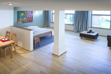 Apartment E3 - modernes Appartement mit großem Wohn-/Schlafraum, 70 m²