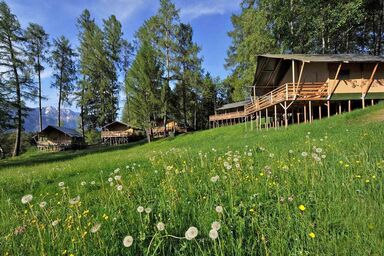 Ferienparadies Natterer See - Luxusstellplatz