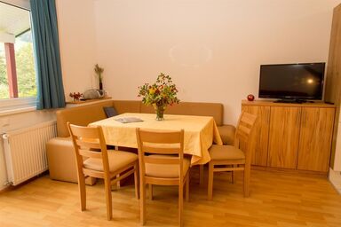 Ferienhäuser Tröster - "Family" Apartment - Typ B für 3-6 Personen