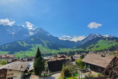 Chalet Gotthelf - 3-Zimmerwohnung Erdgeschoss