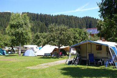 Alpencamp Kötschach-Mauthen - Camping-Stellplatz Standard "Obstgarten"