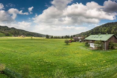 Hagenauer Hof - Schwalbennest