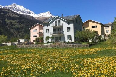 Schöne, sonnige 2.5-Zimmer Parterre-Ferienwohnung