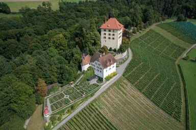 Ferienwohnung Schloss Heidegg