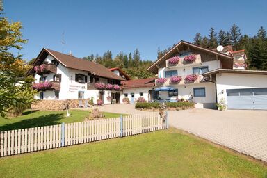 Ferienhaus Bergwald - Ferienwohnung Kronberg