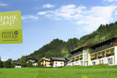 Apparthotel Alpen Chalet - Double room