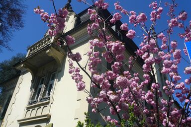 Beauvilla Bern - Double room