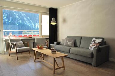 Appartement Hirsch im Aparthotel - Appartement/Fewo, Dusche, WC, Wohn-/Schlafraum