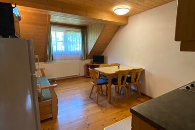 Pension Unterfuchs - Apartment Planai