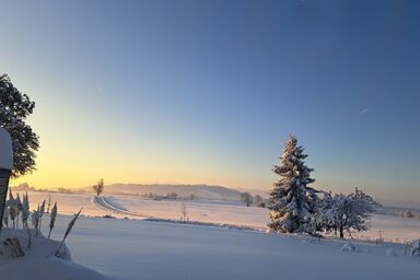 Ferienwohnung Alpenblick