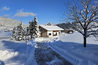 Ferienhaus Froschsee - Ferienhaus bis 10 Personen 165 qm mit Balkon, Terrasse und 5 Schlafzimmern