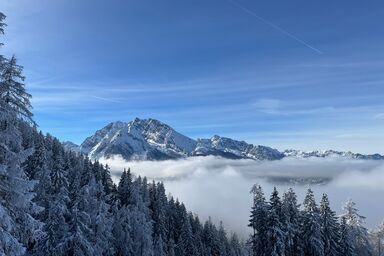 Ferienwohnung Alpenruhe