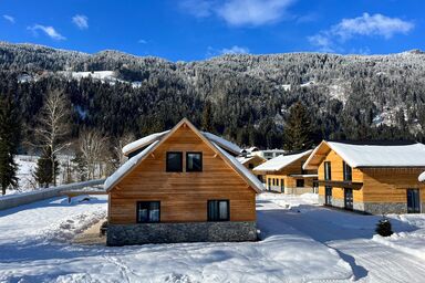 Dual Park Afritz am See - Chalet Grande 8