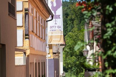 Appartement in Marktheidenfeld mit Garten, Grill und Terrasse